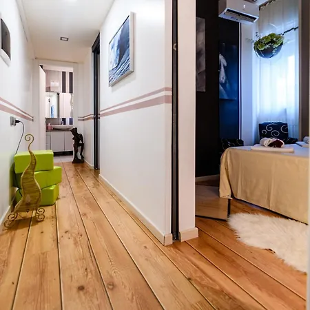 Spazioso In Centro Fino A 8 Posti 阿尔巴